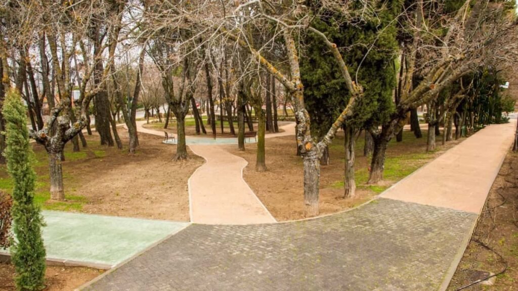 cerrajeros en colmenar viejo