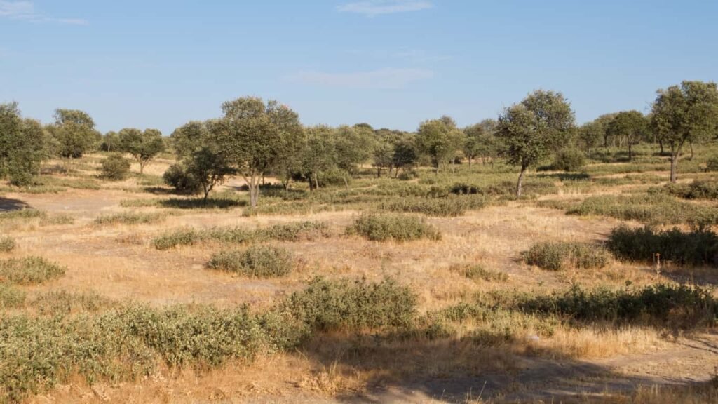 cerrajeros en san sebastian de los reyes